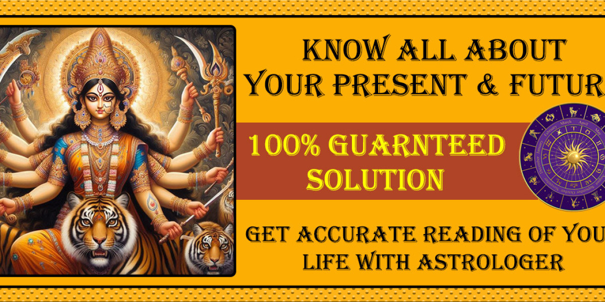 Top Astrologer in Ludhiana